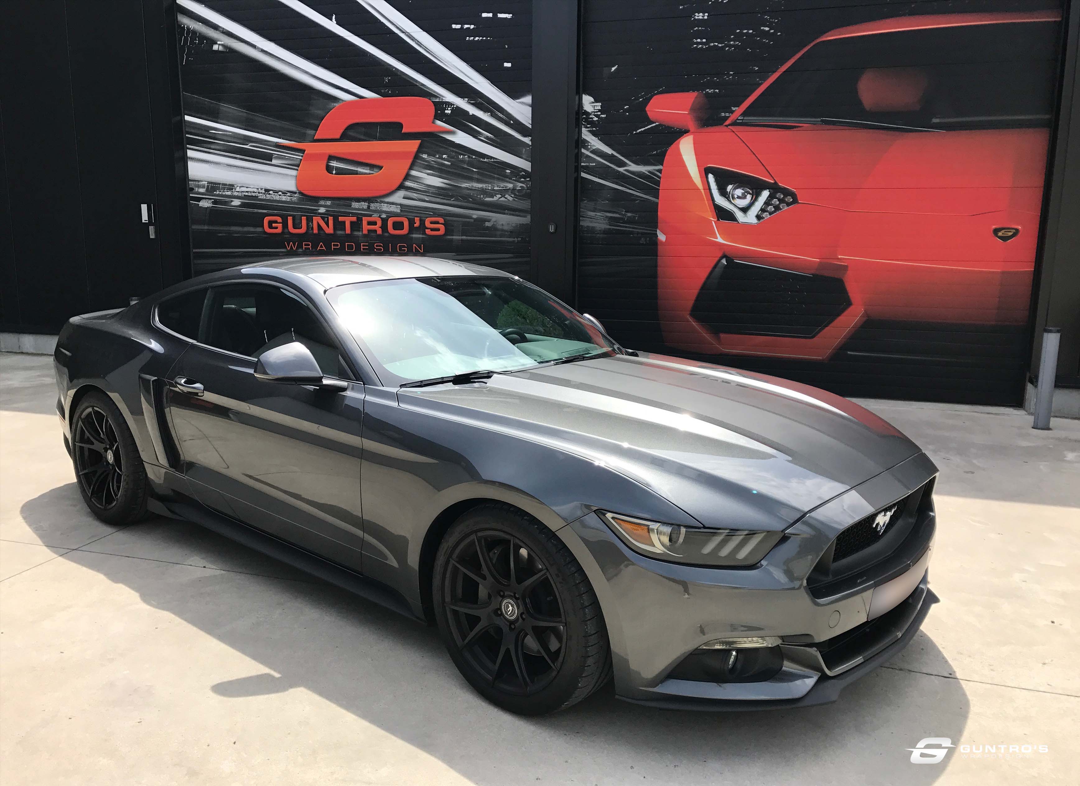 ACCENT STRIPING FORD MUSTANG